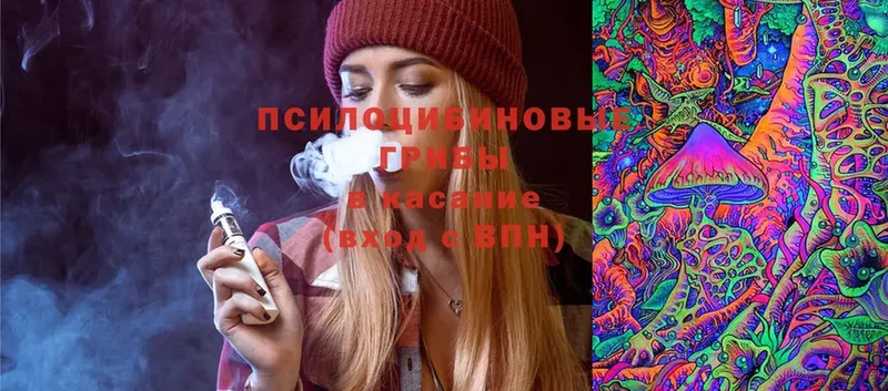 Псилоцибиновые грибы Psilocybe  mega сайт  Белая Калитва 